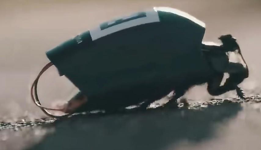 外媒消息，德国的一家叫SWARM Biotactics公司开发了一项技术，该技术