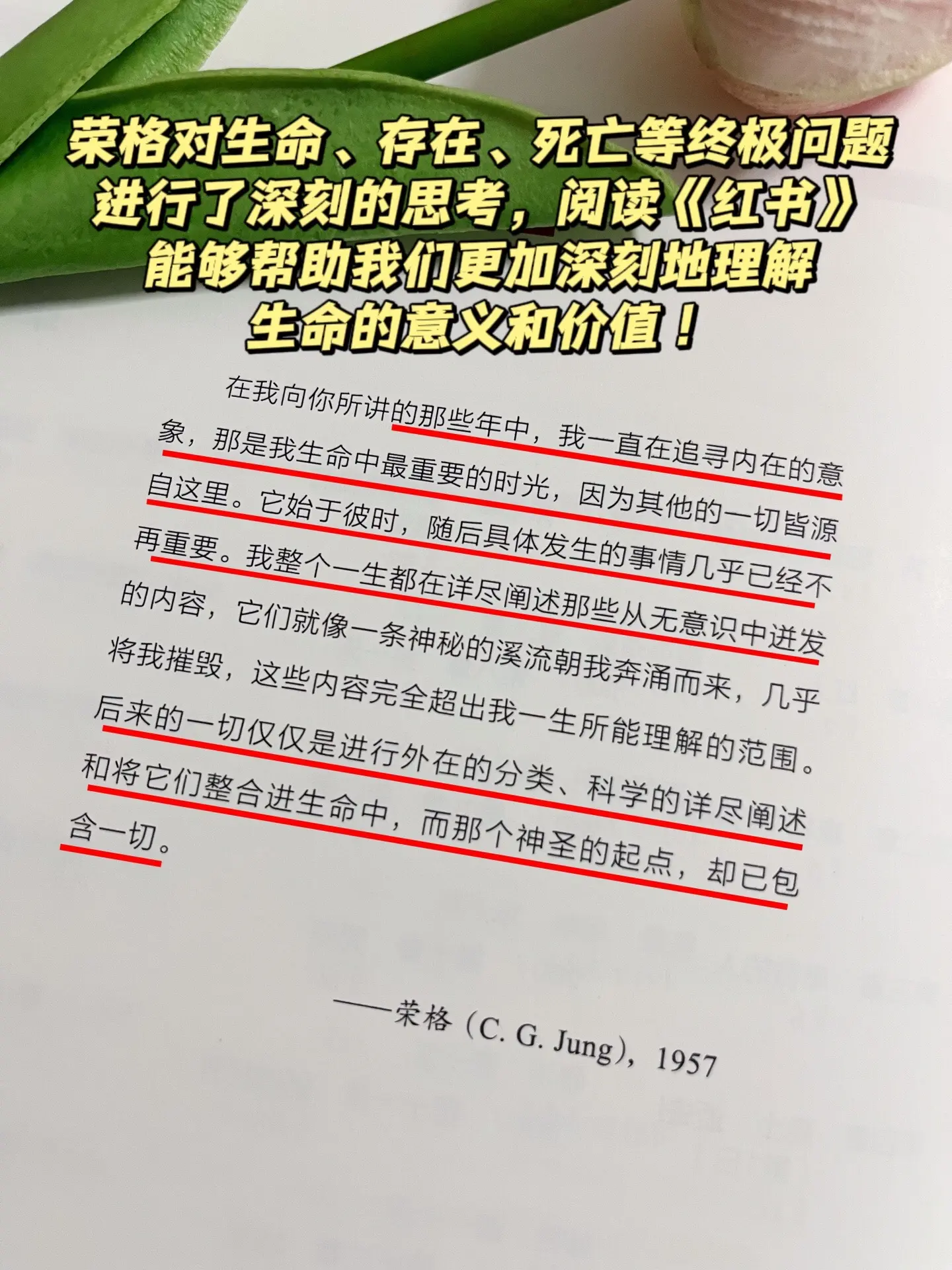世界十大神秘天书之一，《红书》是荣格的私密日记，书中记录了荣格在中年危...