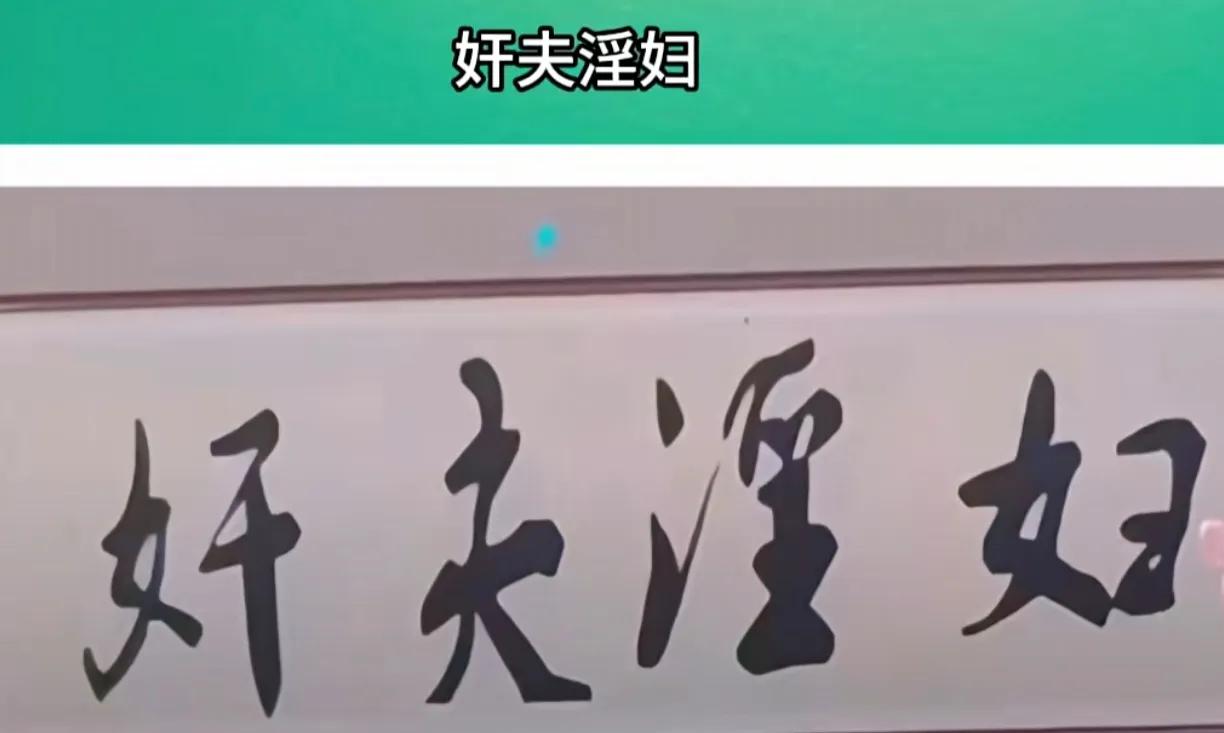 字是给人看到的，不是给人猜的，我觉得小女孩说的全对！这些还叫书法？小孩从不留情，