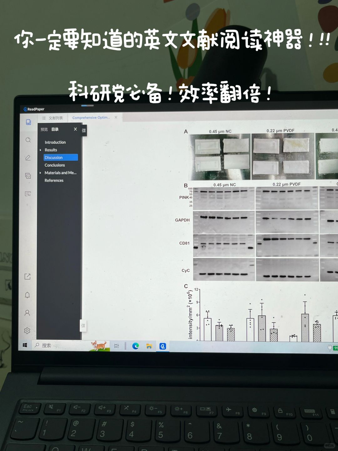 我猜，你一定用过这个文献翻译工具
