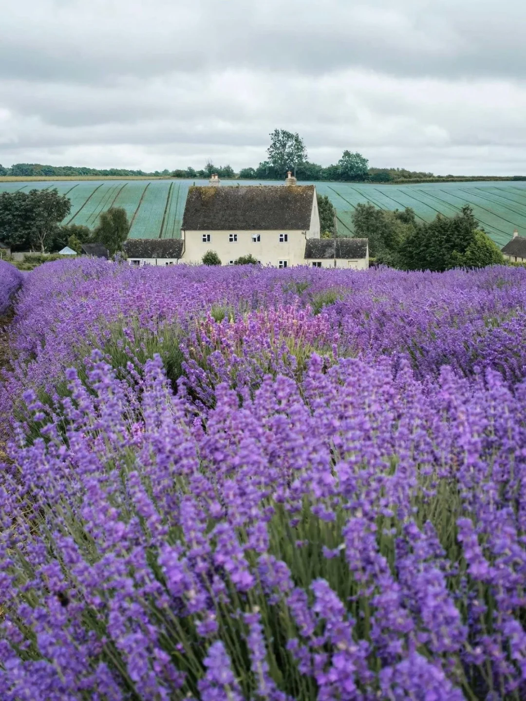 英国Cotswolds的村庄美哭了🛖加入必去清单