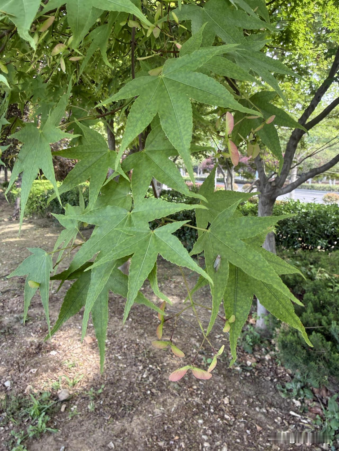 【小对联】
上：谷雨；
下：……？