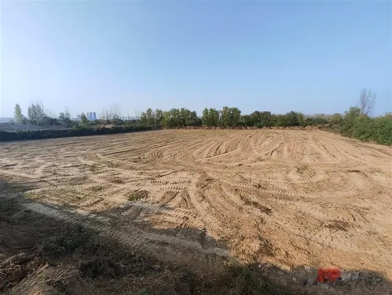 西安一残疾农民租地种药材，收割前遭铲毁绝收，必须有人为此负责
西安临潼区残疾农民