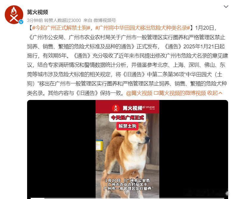 今起广州正式解禁土狗  土狗在中国有上千年的饲养史，农村很多都是用土狗看家护院，
