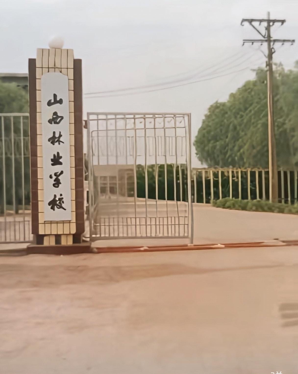 不经意间，翻出了若干年前“山西林业学校”的照片。如今，学校已更名为“山西林业职业