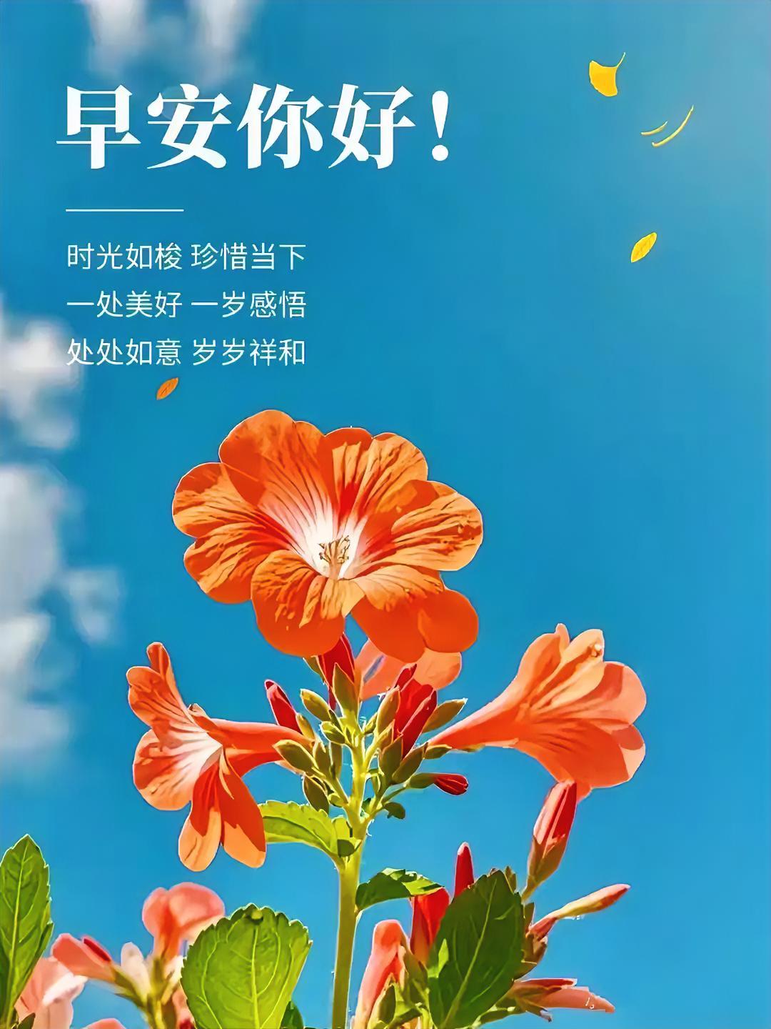 周一早安！新的一周温柔开启，愿我们从容不迫，于时光中缓缓绽放光芒，收获美好。
分