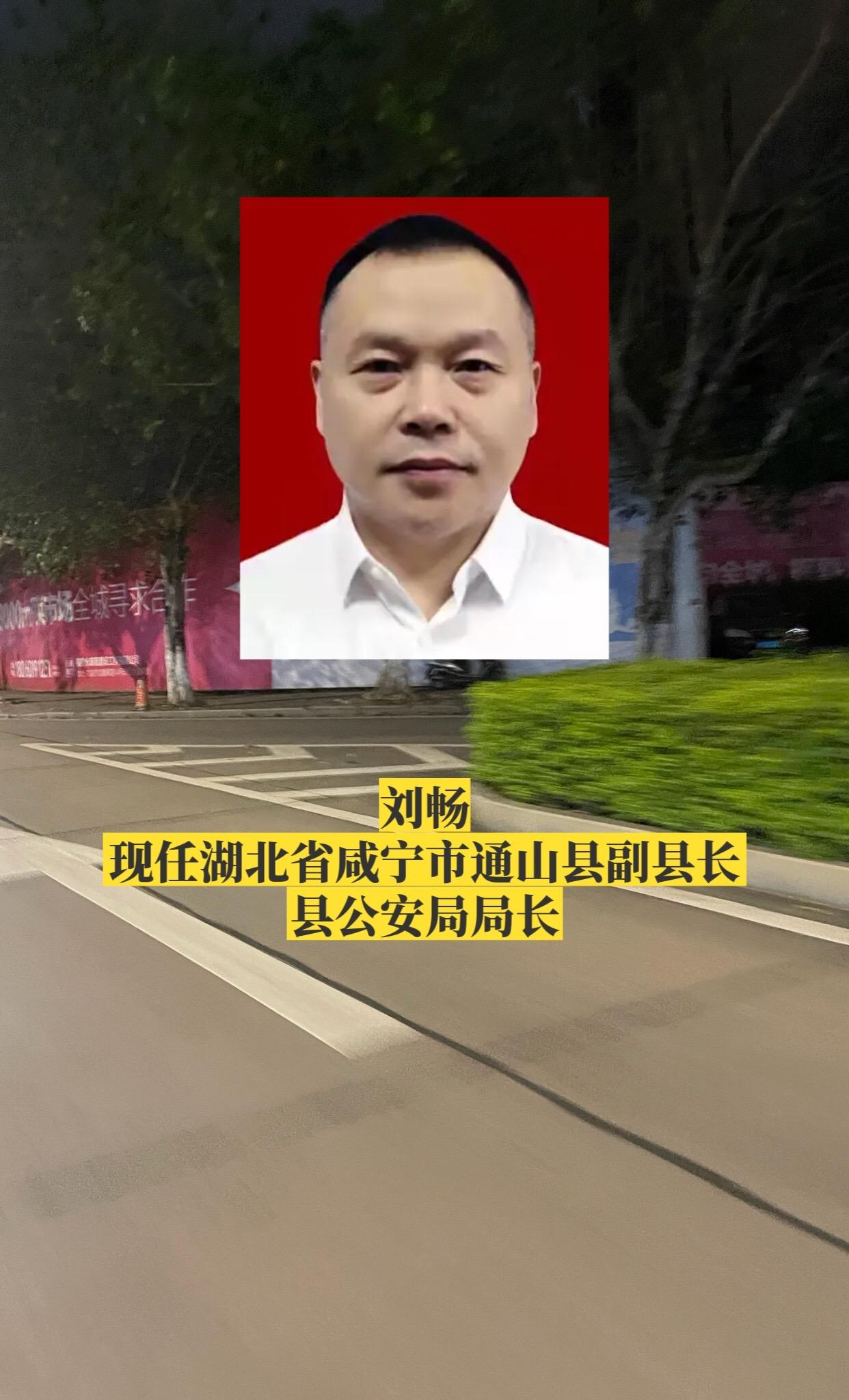 湖北咸宁市各区县公安局长。