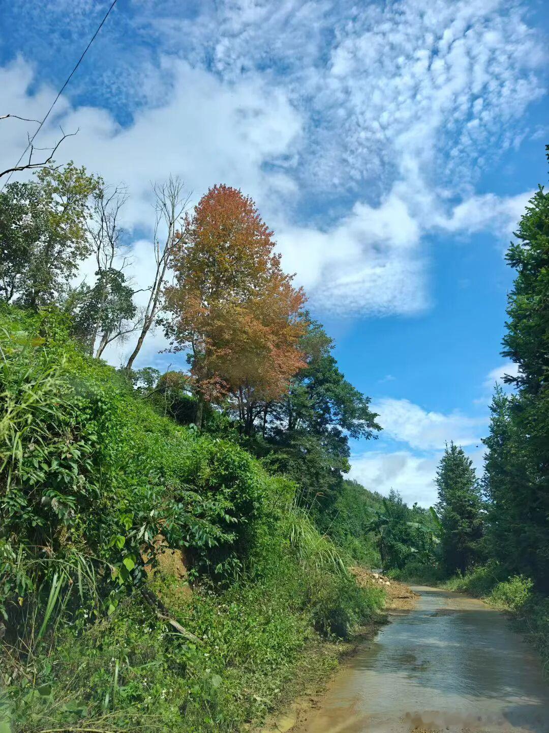 愿你心怀笃定，在自己的节奏里稳步前行。早安，每一个你！早安心语早安早安