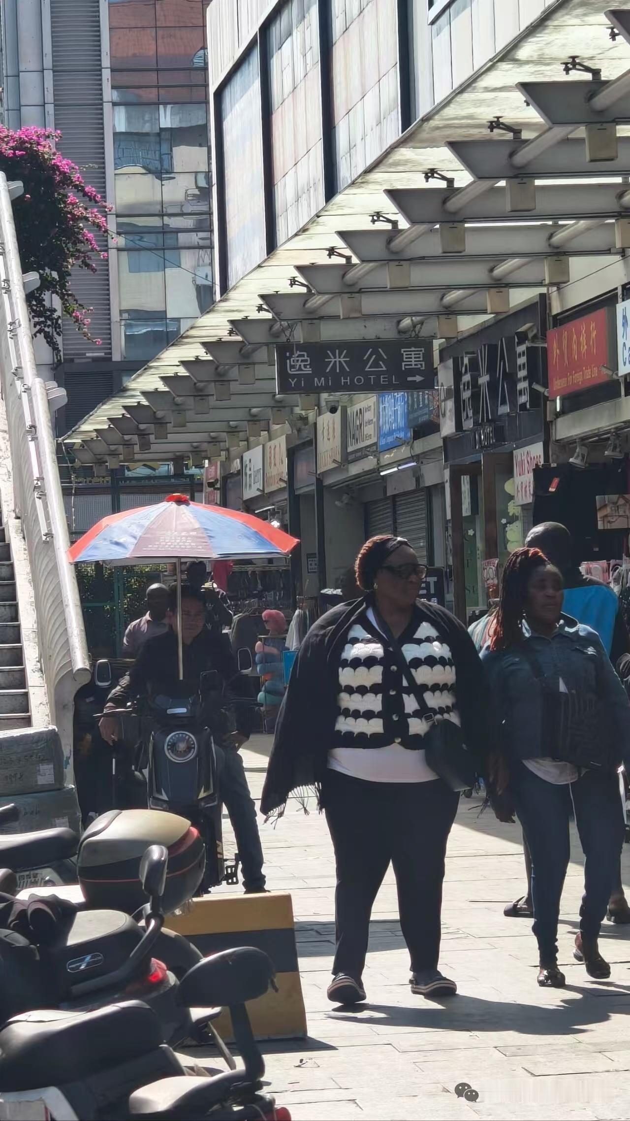 如果不说，谁会知道这竟然是广州街头吗？[笑哭]