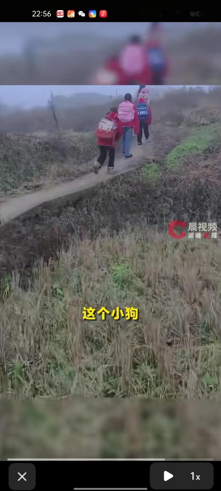 3月12日，邵阳市新宁县。小狗每天送小主人上学，送到后就自己游回家的视频引发热议