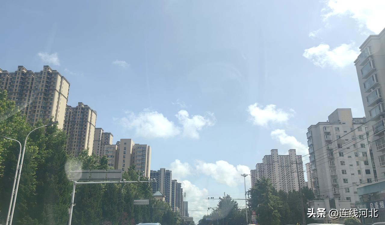 今天雨后的石家庄，天空蓝得蓝得清澈，大朵白云蓬松柔软地铺满天际，仿佛刚弹好的新棉