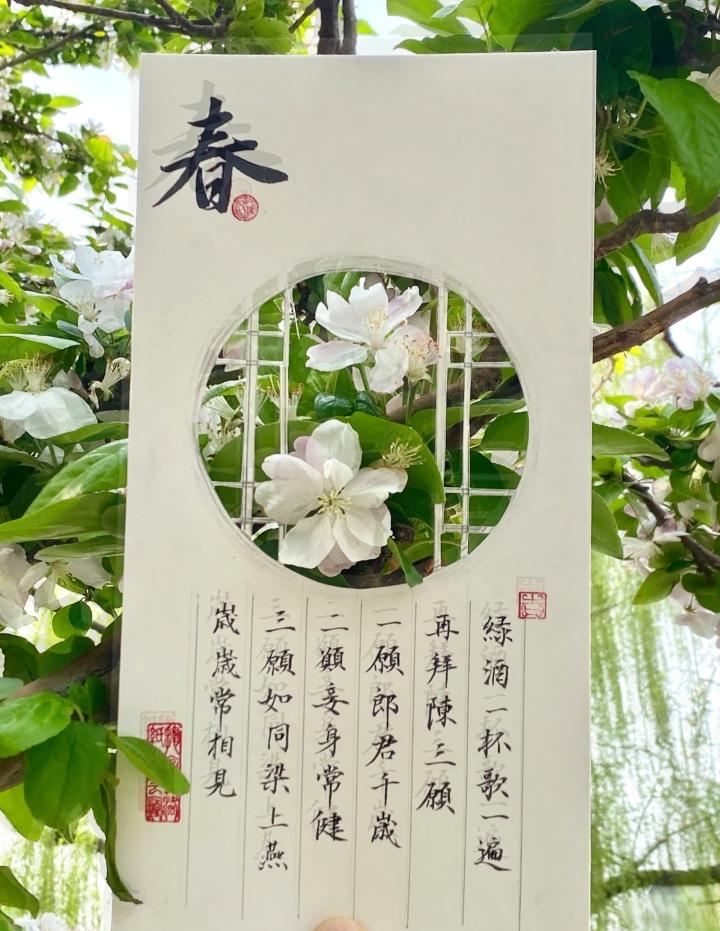 你若春风   拂过我眉间的温柔
我若桃花   醉你那惊鸿一眼
你不必回头
我也会