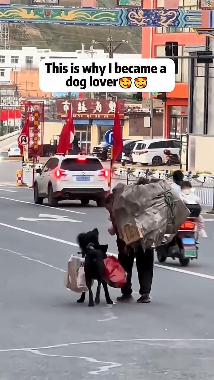 This is why I became a dog lover.Poor ba