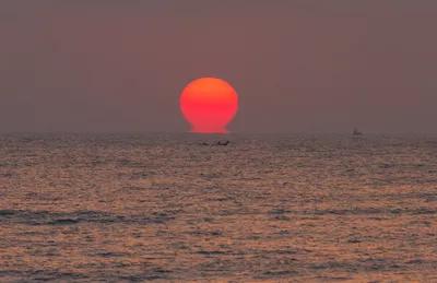 你见到了最美的朝阳吗？她已跃出了海面……