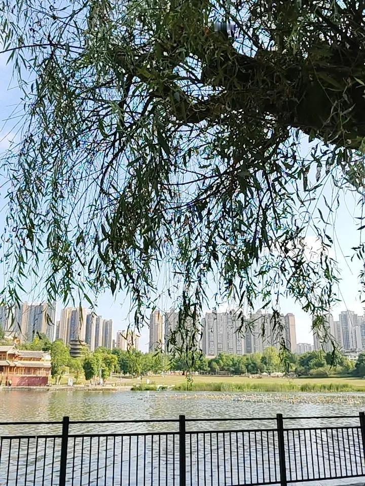 怎么会判断政策底和市场底，有一个简单的方法！就是去看国家队和机构的操作！
如果国