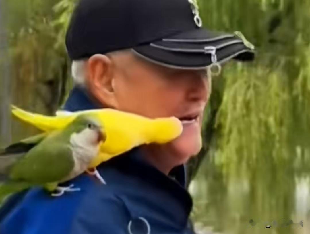 69岁的赵本山，彻底的放弃了小品的舞台，尽情的享受生活，最近有网友发现他在海南度