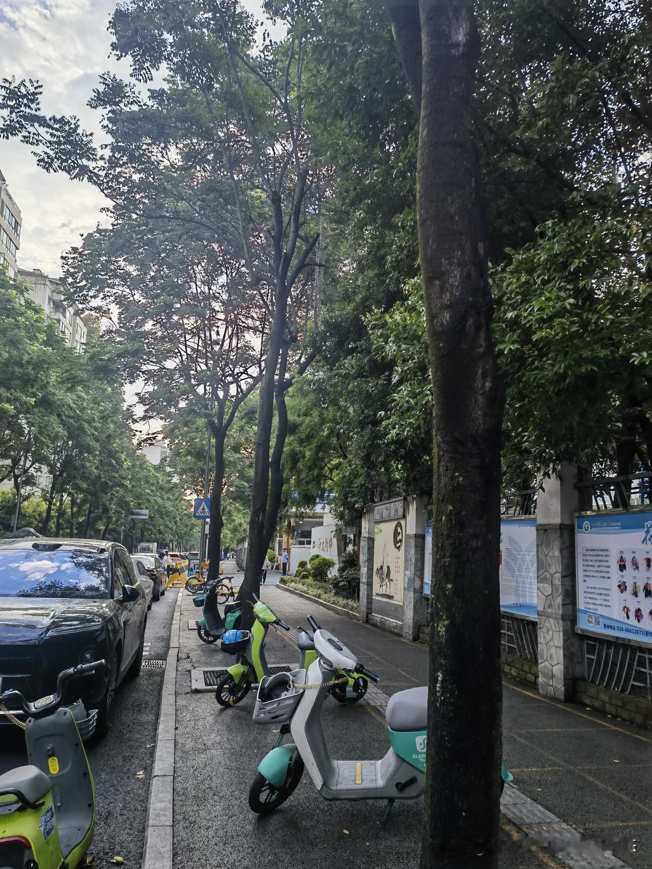 三年级，第二日

       即便是个平凡的日子，可以后再看，也许不再平凡。