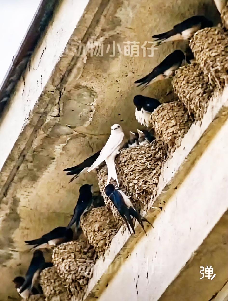 与时俱进，别等万事俱备，别等所谓最佳时机。能上车赶紧上车，犹豫会拖垮勇气，行动才