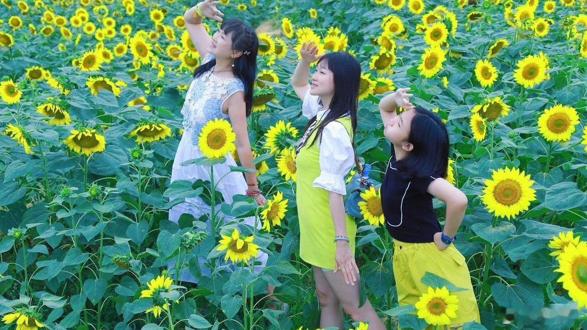 不内耗的人脑子里是这样想的 真正的幸福，不在喧嚣繁华，而在平淡日常的微笑里。美在