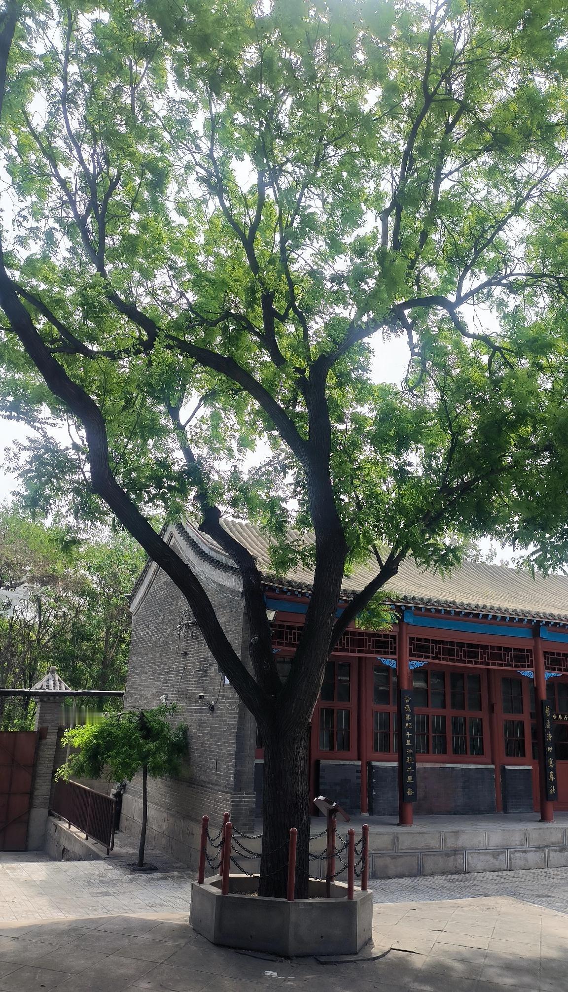 一位朋友谈起他的孩子说，只要孩子身体健康、能养活自己、不进监狱，我觉得我就是世界