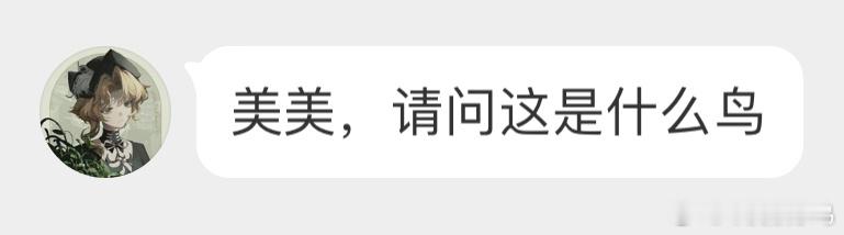 #鸟粉投稿# 红嘴蓝鹊的宝宝不要轻易带走奥，它父母就在附近随时都可能进行空袭🙊
