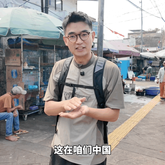 这是疯狂动物城的真人版吧哦莫，难道这是疯狂动物城真人版？暴走兄弟旅行博主，探索世