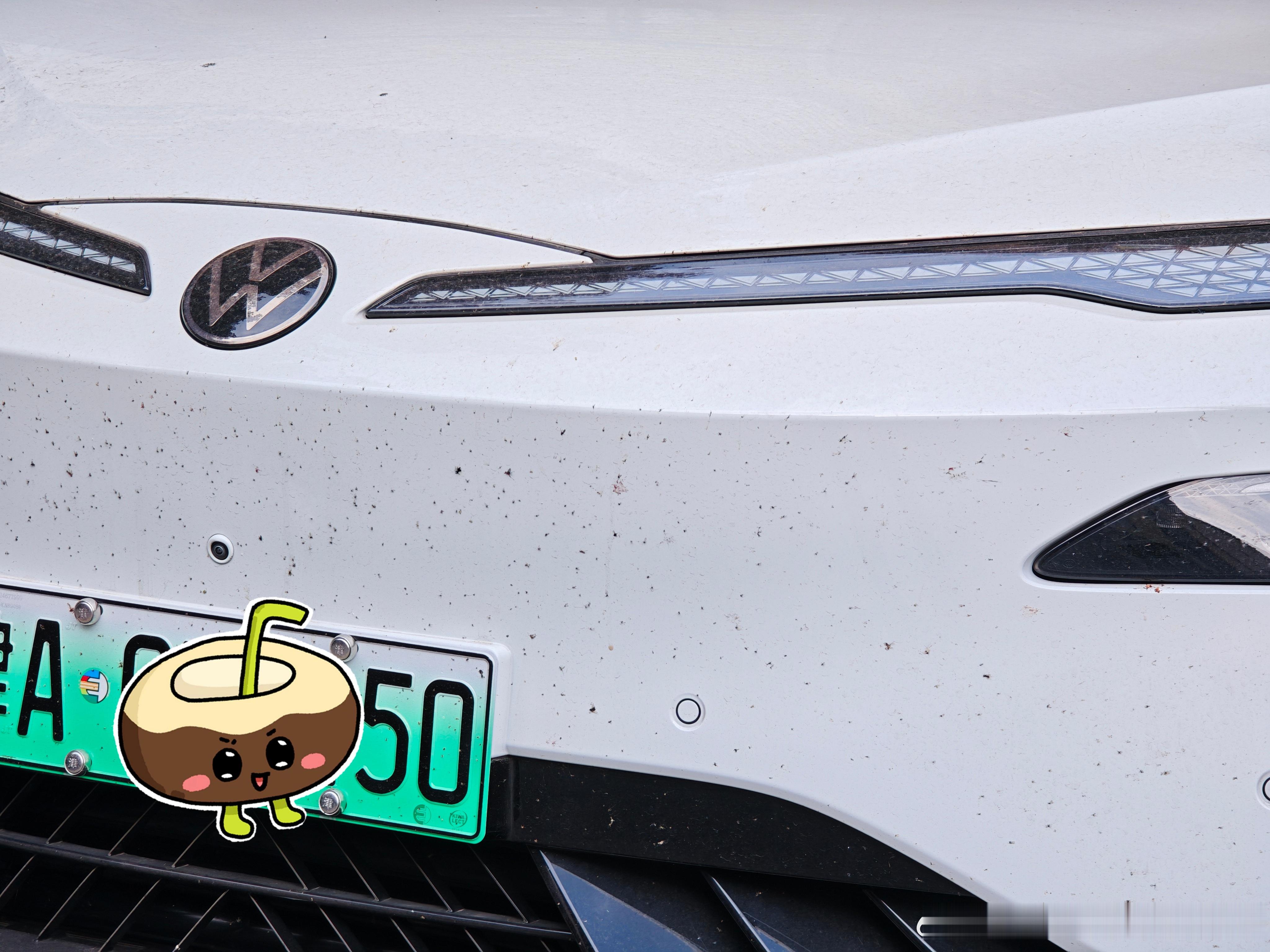 公司的两台大白，早上过来瞟了一眼，一台车头（还算...）比较干净，另一台全是虫子