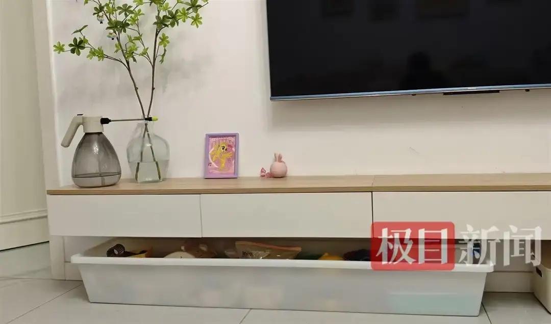 堆得满屋都是，上网搜收纳柜时，偶然看到网友推荐"猪食槽"，抱着试试看的心态花40