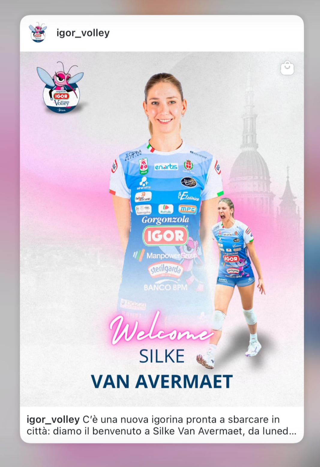 诺瓦拉签约了原布斯托阿斯奇奥的比利时副攻西尔克·范阿弗梅特！ 