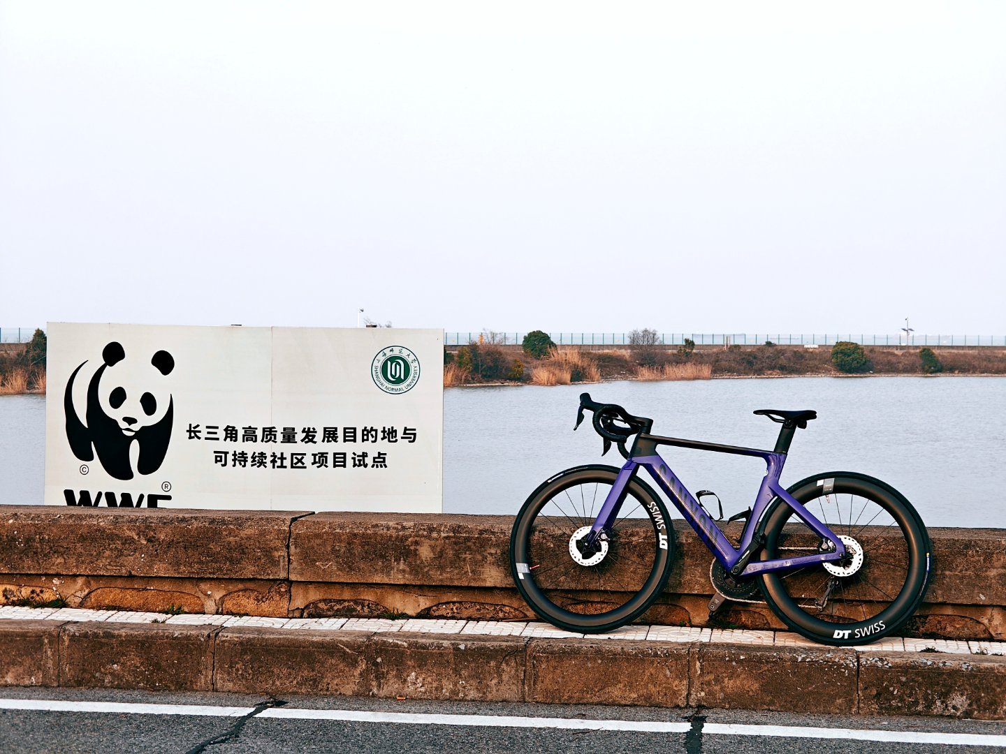 天气好，宜骑行🚴♀️  