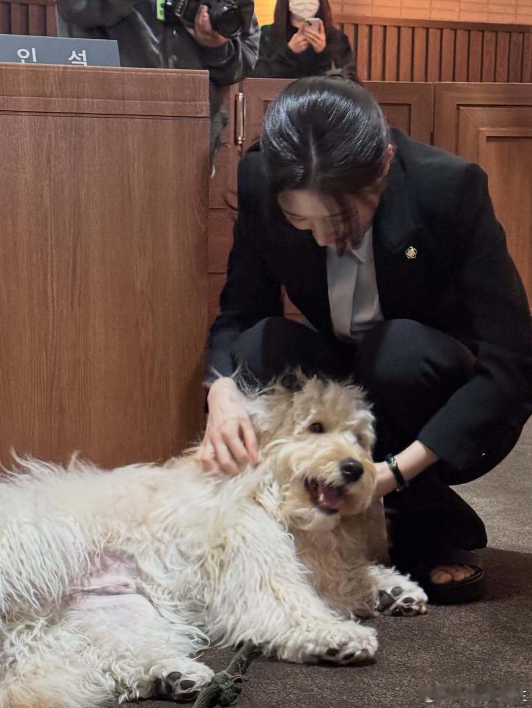 郑采妍更新Esquire姜孝敏日常～🌸梦想成为律师的律师们 ​​​