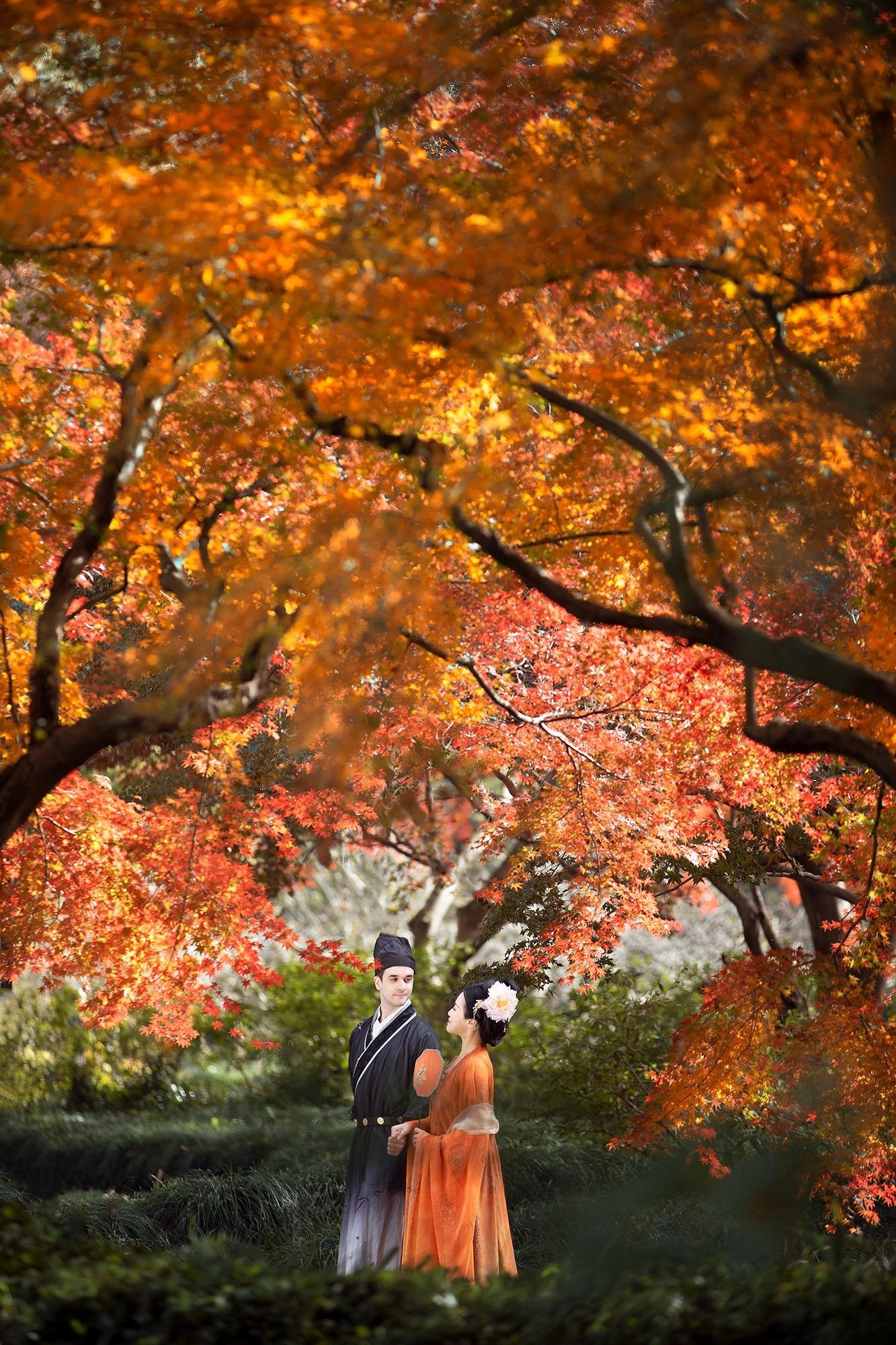 枫叶为笺，他从秋风里读懂东方。