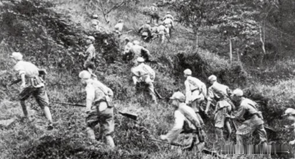 1950年7月底，由20多名武汉女大学生组成的南下工作队，在广西荔浦被土匪截杀，