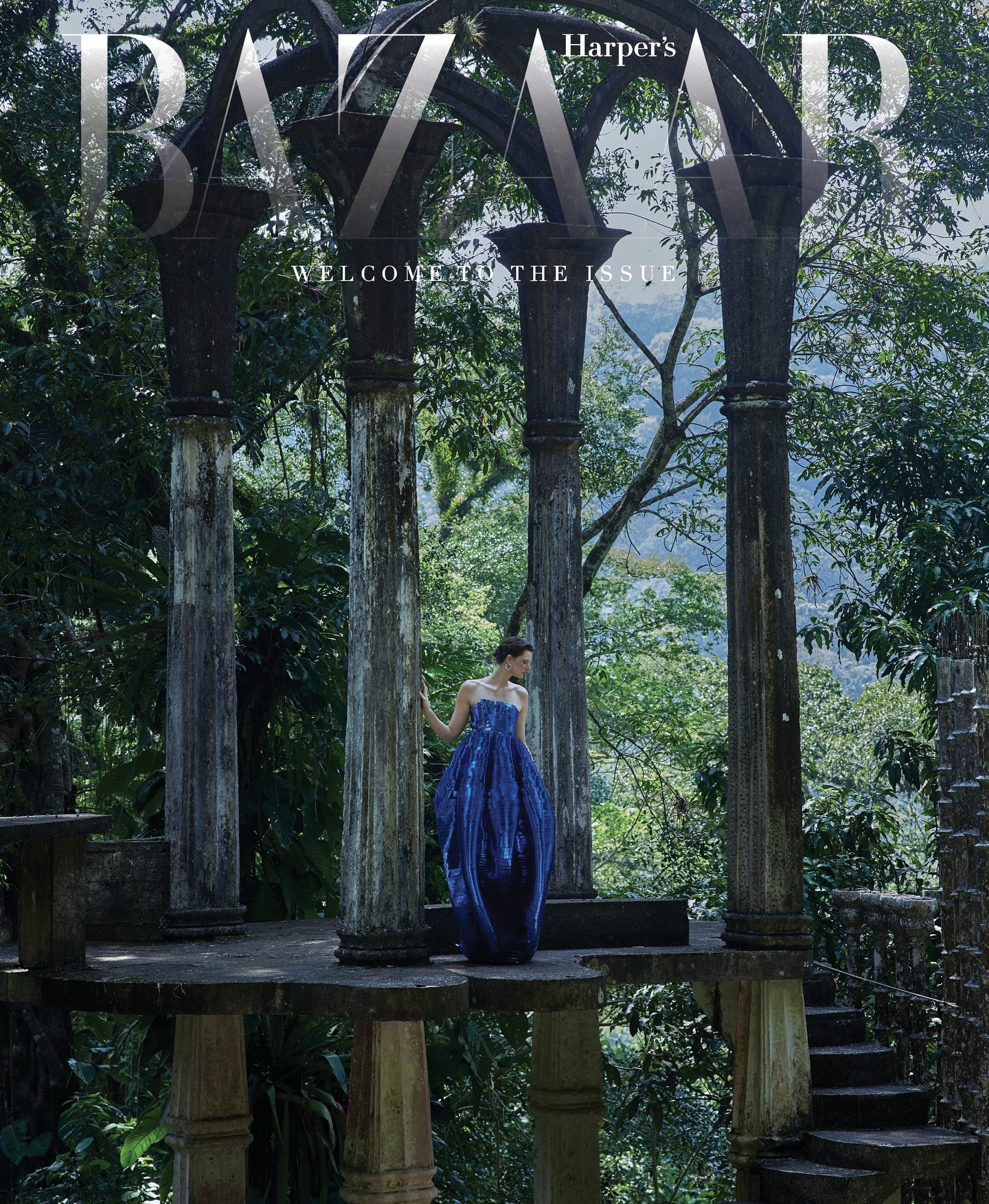 森林里一朵优雅盛开的“蓝铃花”虽然封面绿枝交错十分茂密，但版头设计和远景使整个画