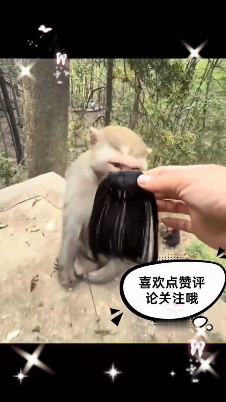 喜欢点赞评论关注哦。