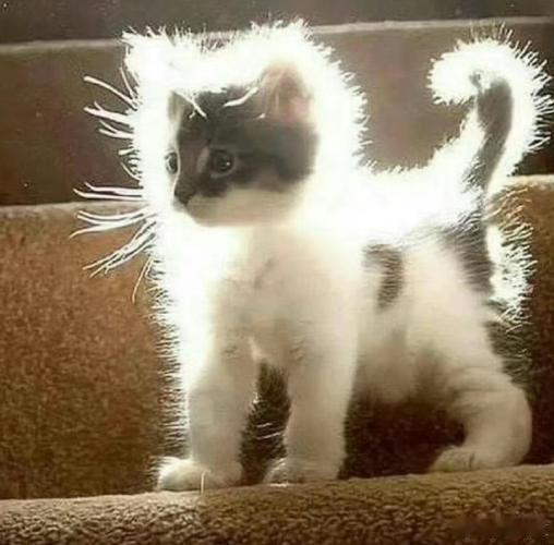 晚安💤其实早就困了 ​​​