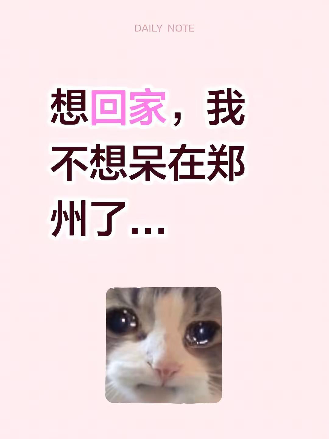 我现在特别想回家，一点都不想待在郑州了...我想回家 大学生 郑州大学生