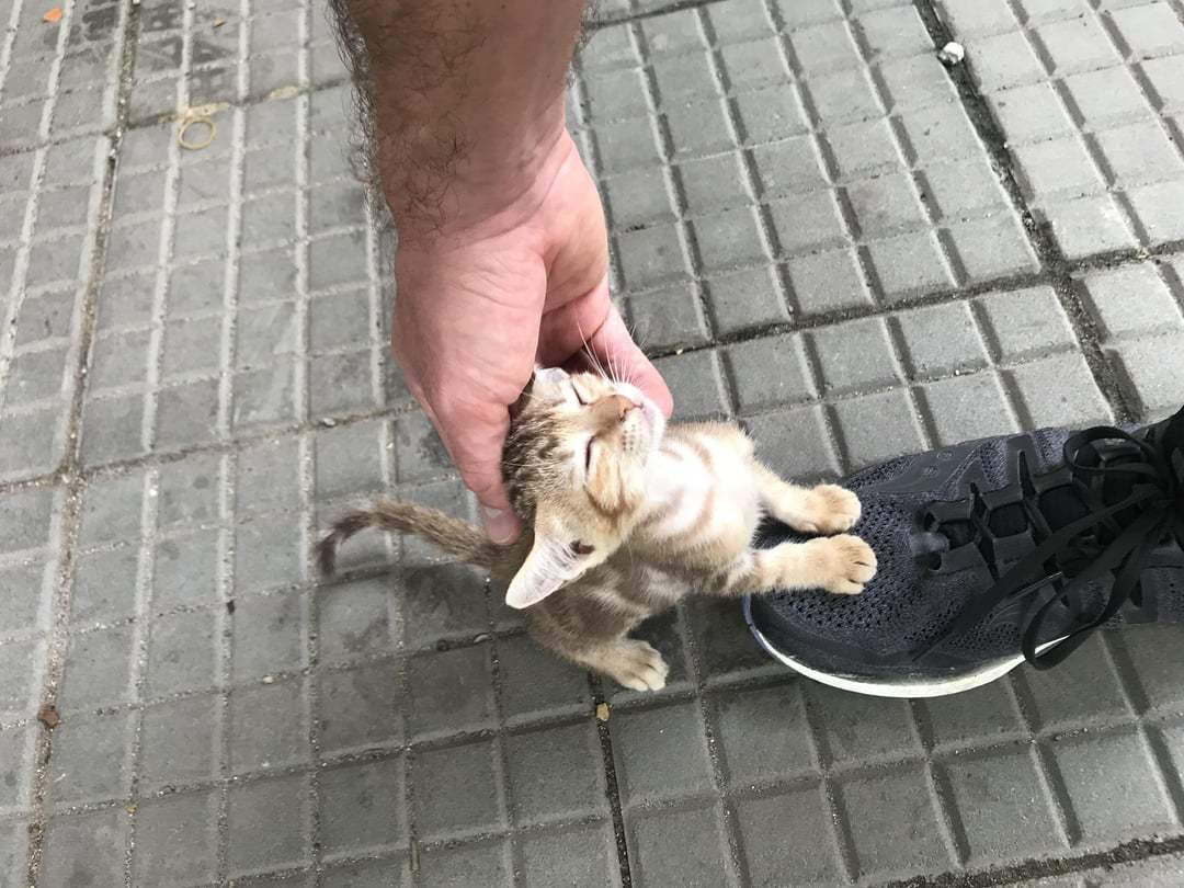 bro be small 