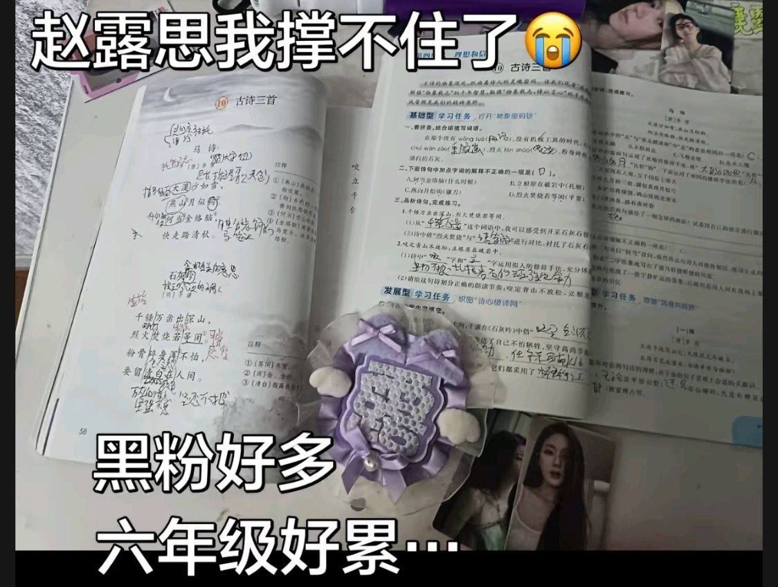 赵露思 可露丽们 我感觉六年级实在太难读了 根本读不下去 已经想退学了 加上黑粉