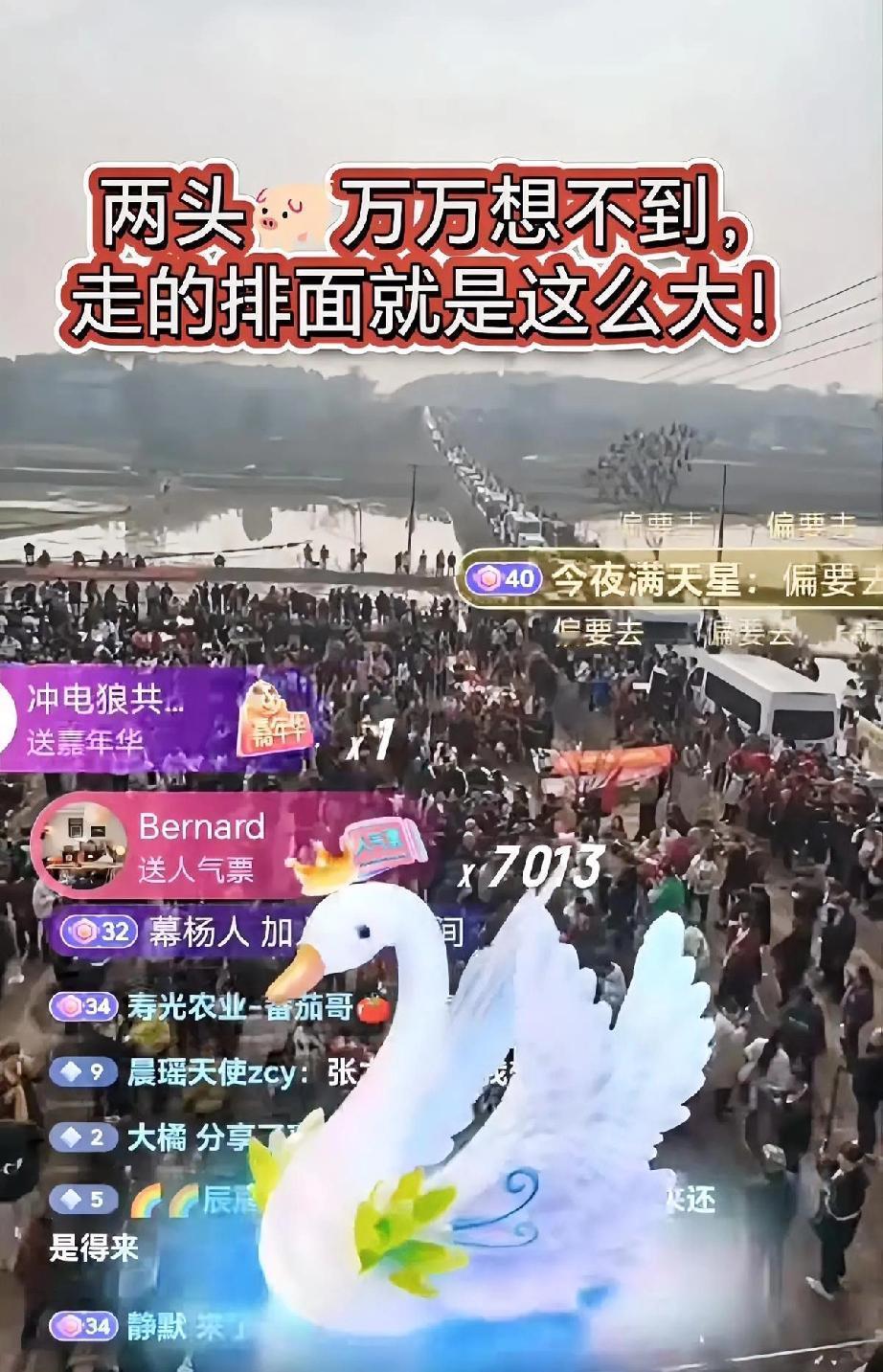 美甲店主两天狂赚200万，

勤劳真的能致富？
 
美甲店主“呆呆”凭热度爆火，