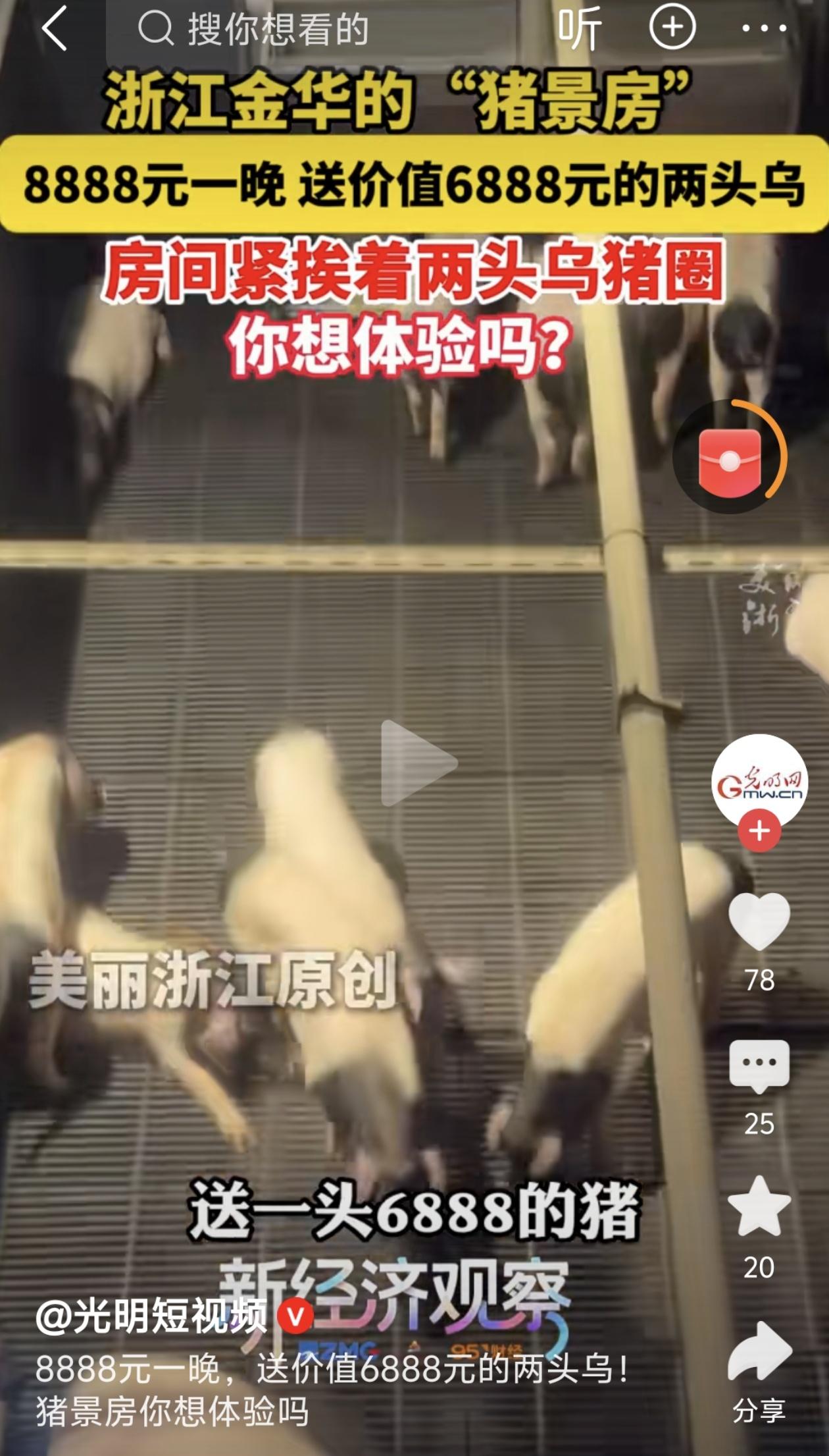 “跟猪睡一晚，还能白拿一头猪？”这两天，浙江金华的“猪景房”冲上热搜，8888元