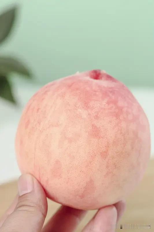 夏末秋初，北京平谷这个“大桃之乡”简直太诱人了！果园里满是鲜嫩饱满的桃子，果香阵