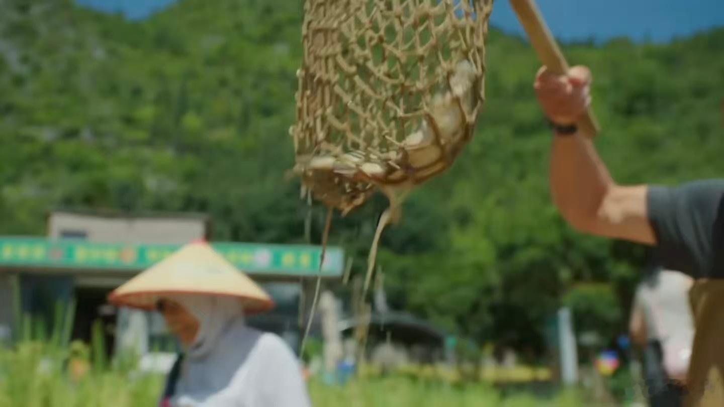 贵州万峰林把鱼儿养进了稻田里寻找最美目的地秘境贵州远离城市喧嚣奔赴万峰林梯田，峰