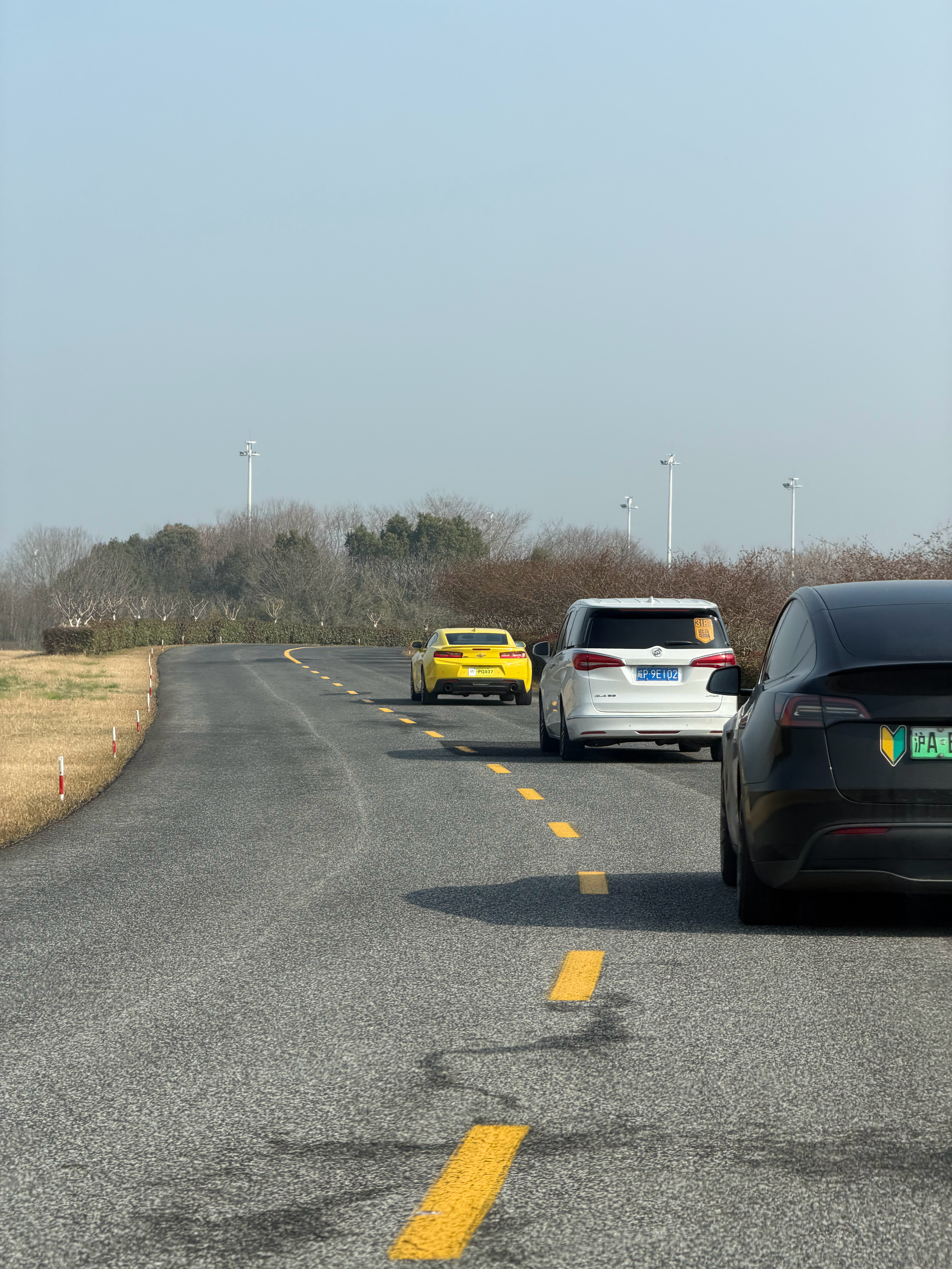 今天太阳很大，像极了那年在巴塞罗那。 