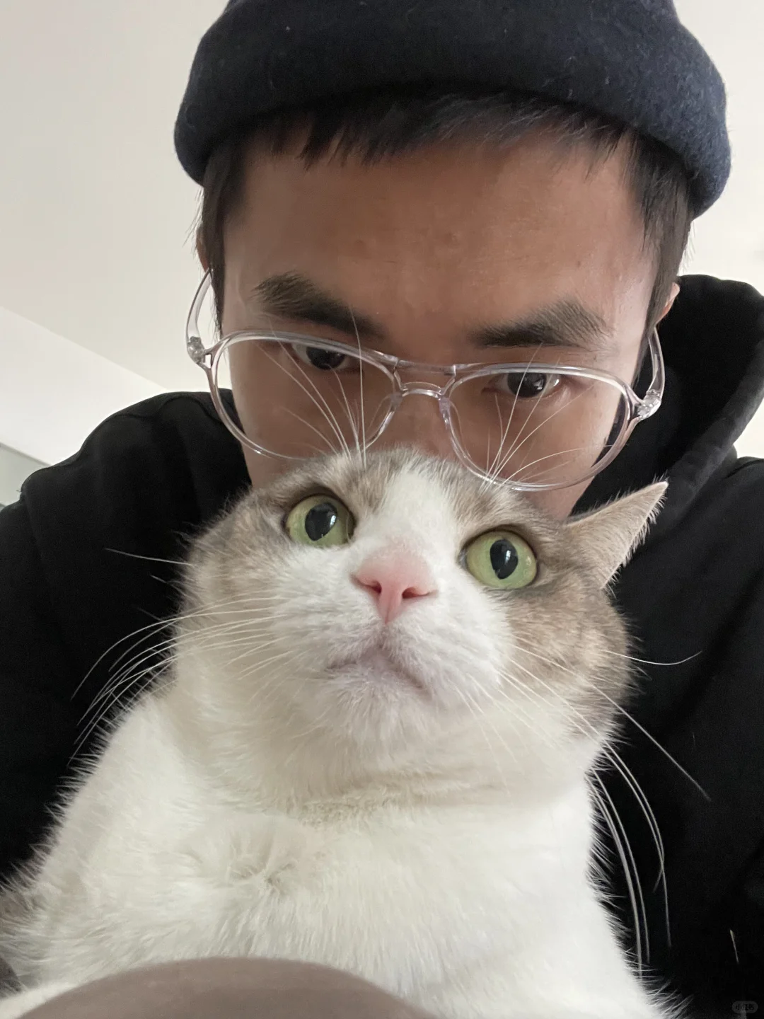 我是替身使者