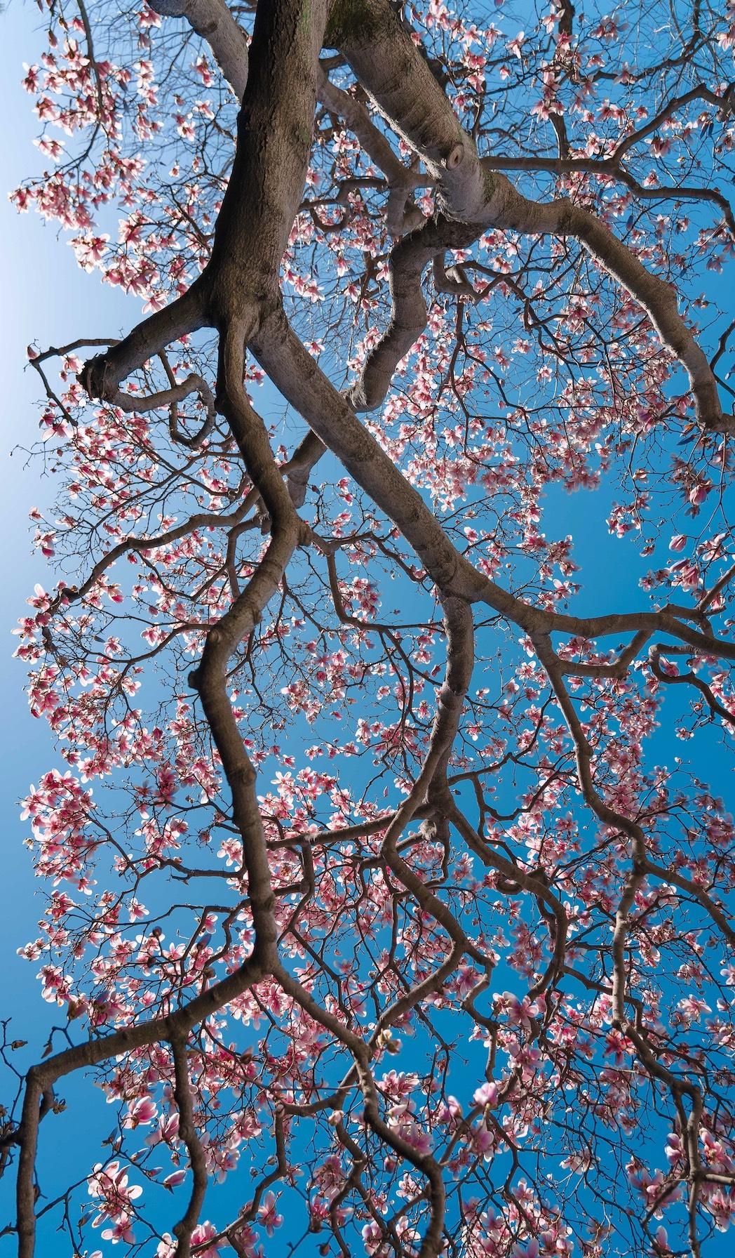 上联：临窗听夜雨，
下联：倚户看晨钟。
下联：靠海望晨风。