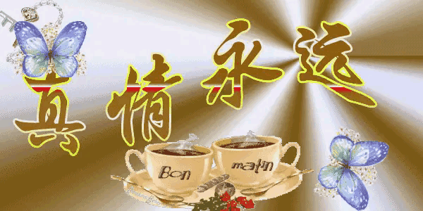如果真情得不到回应，再热情的人也会变成一座沉默的孤岛。

你有没有过这样的时刻？