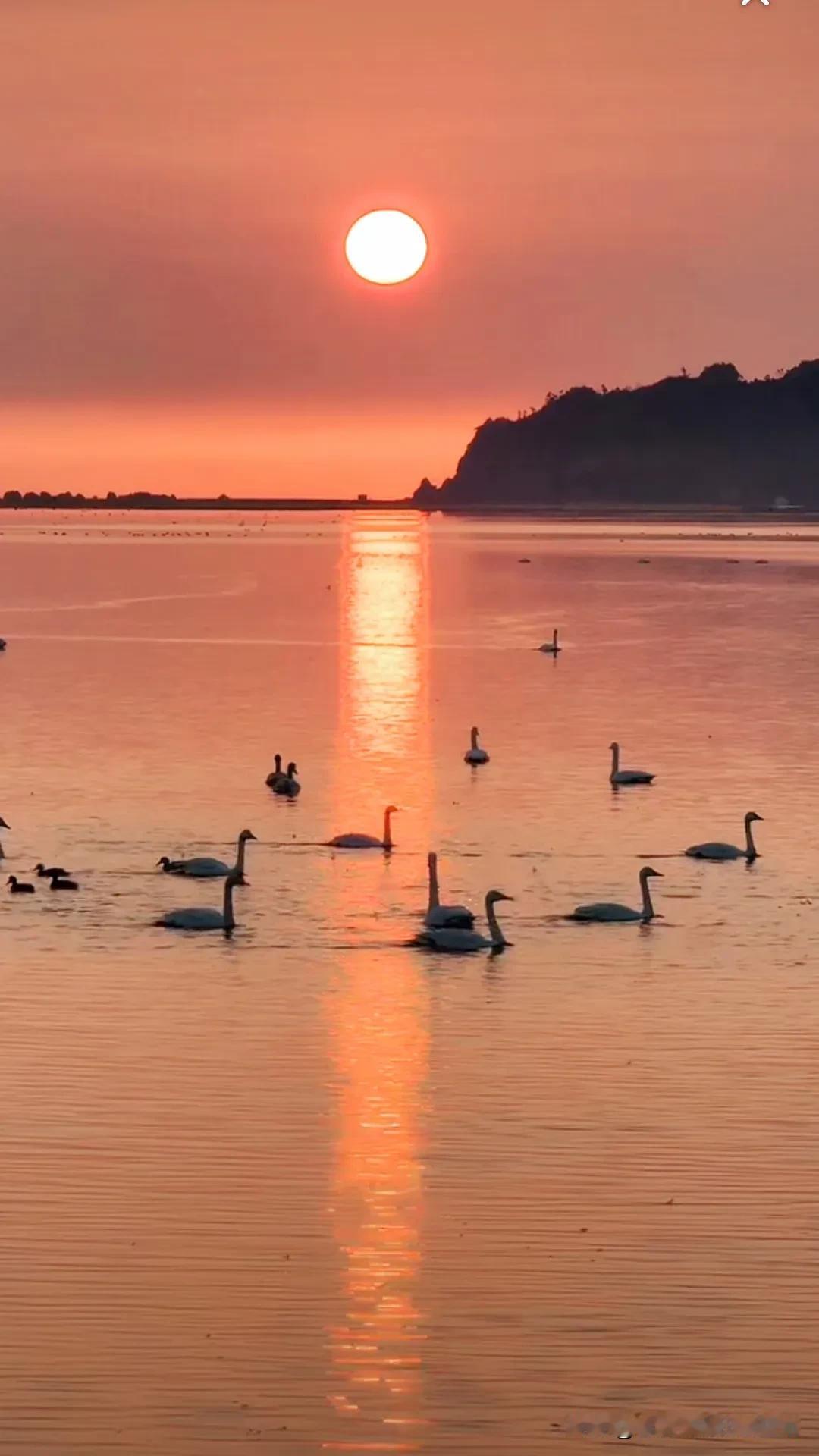 早晨日出的天鹅湖，静谧而美丽。湖景日出 朝阳升起的湖面