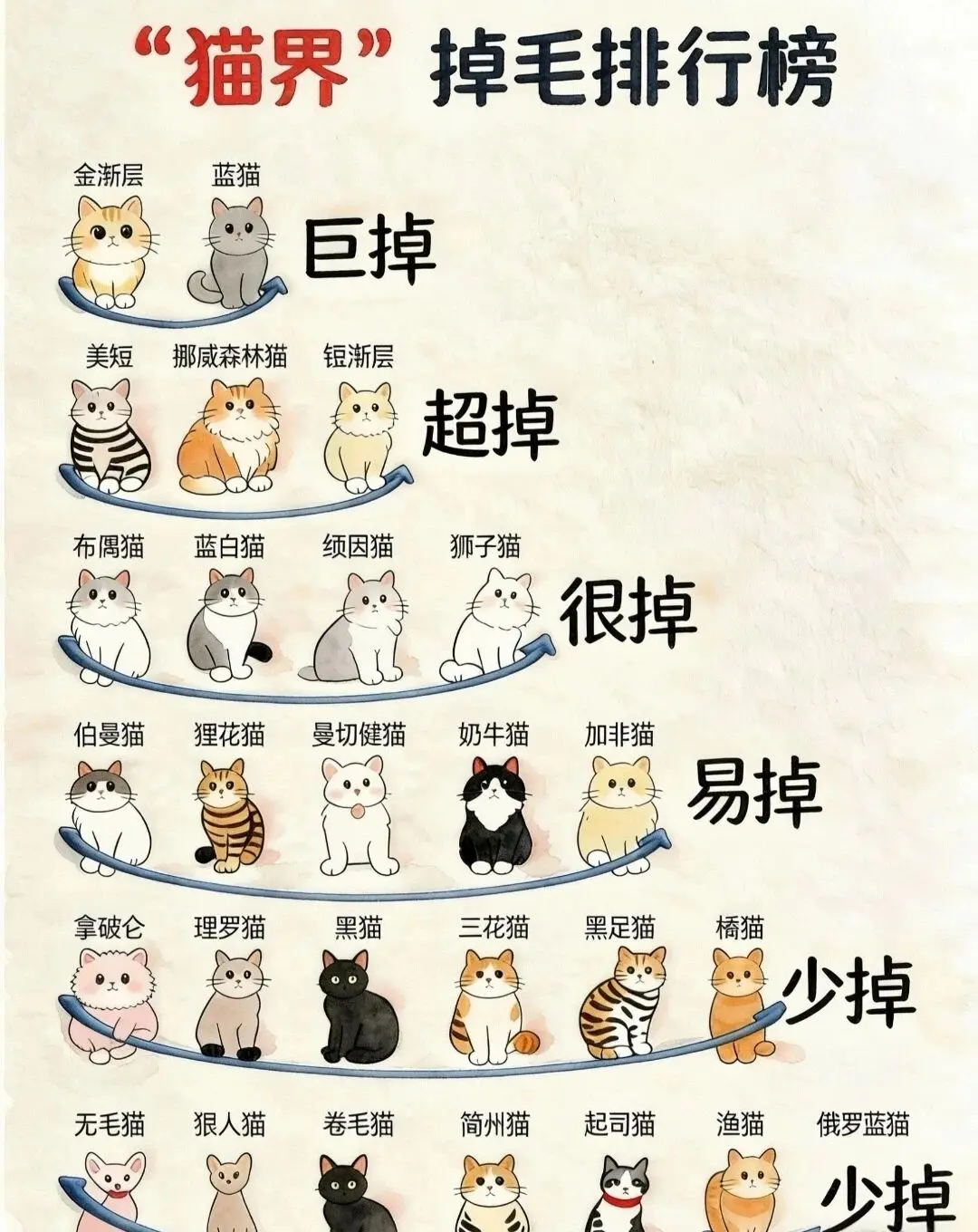 我家养了只巨掉毛的猫。每天出门全身都是猫毛，咋办？