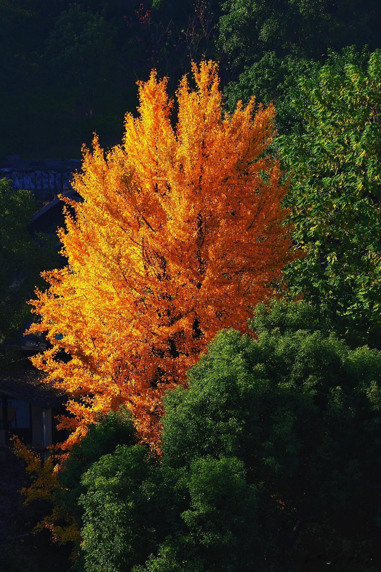 心无敬畏，眼无仁慈，修的不过是逆天而道。心无感动，鄙视民意，取得不过是自以为是。